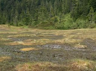 L21 Patent Pl, Tatitlek, AK 99677