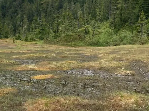 L21 Patent Pl, Tatitlek, AK 99677