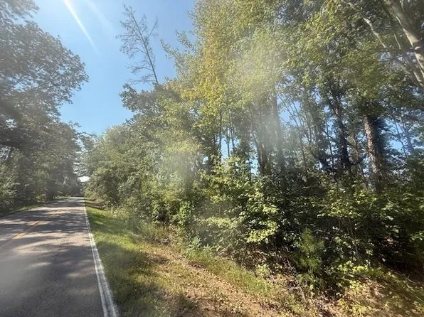 TRACT 6 State Route 225, Bethel Springs, TN 38315