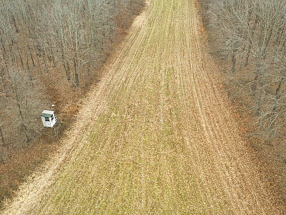 3rd image of 1385 Mayes Rd