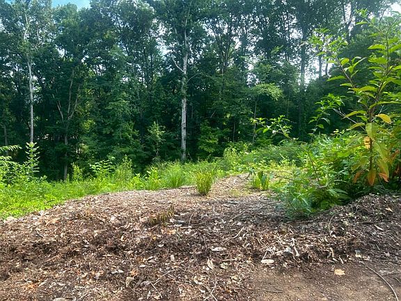 4th image of LOT Three Clairmont Dr