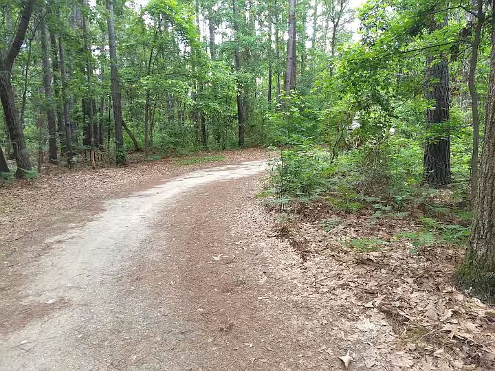 driveway curves thru the woods for increased privacy