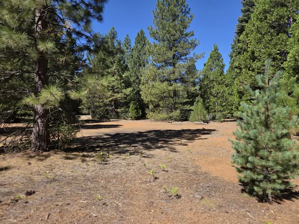 LOT 57 Nehemiah Dr, Shingletown, CA 96088