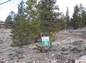 2nd image of 313 La Plata Peak Dr
