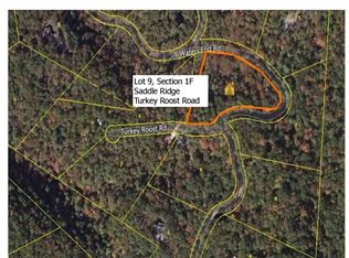 2210 Turkey Roost Rd, Walland, TN 37886