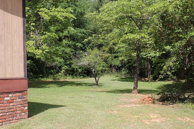 2nd image of 145 Shana Dr