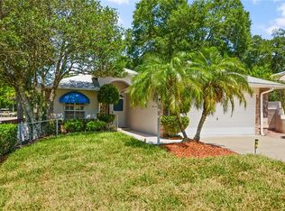 11 Hibiscus Ct, Eustis, FL 32726