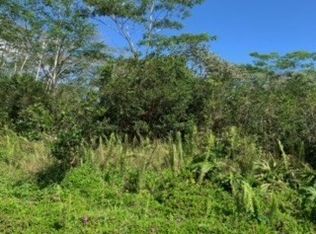 Paradise Dr LOT 67, Keaau, HI 96749