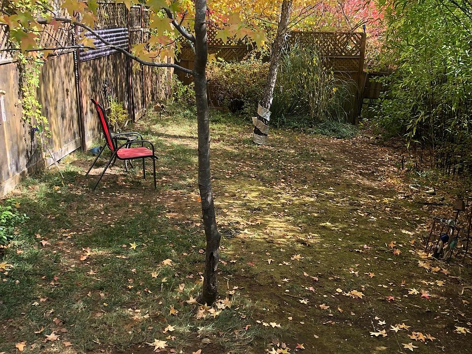 Backyard, totally private