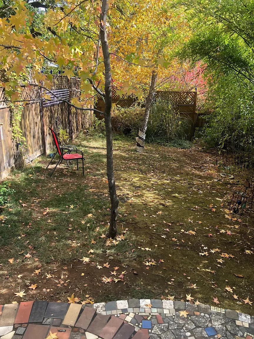 10647 Red Dog Rd photo 1