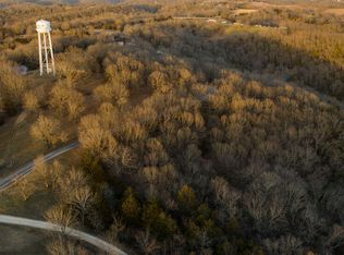 32 Mule Barn Dr, Cape Fair, MO 65624