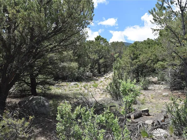 30173 Princeton Circle, Buena Vista, CO 81211