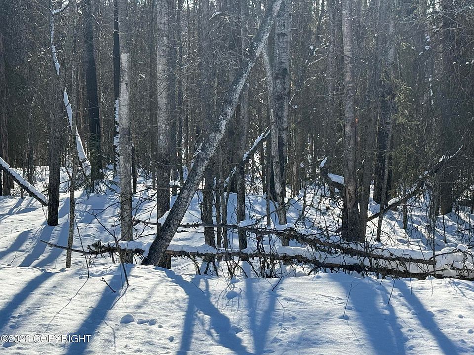 2nd image of 21652 W Parks Hwy