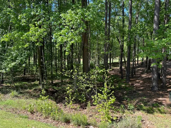 1051 Big Water Cir #6, Greensboro, GA 30642