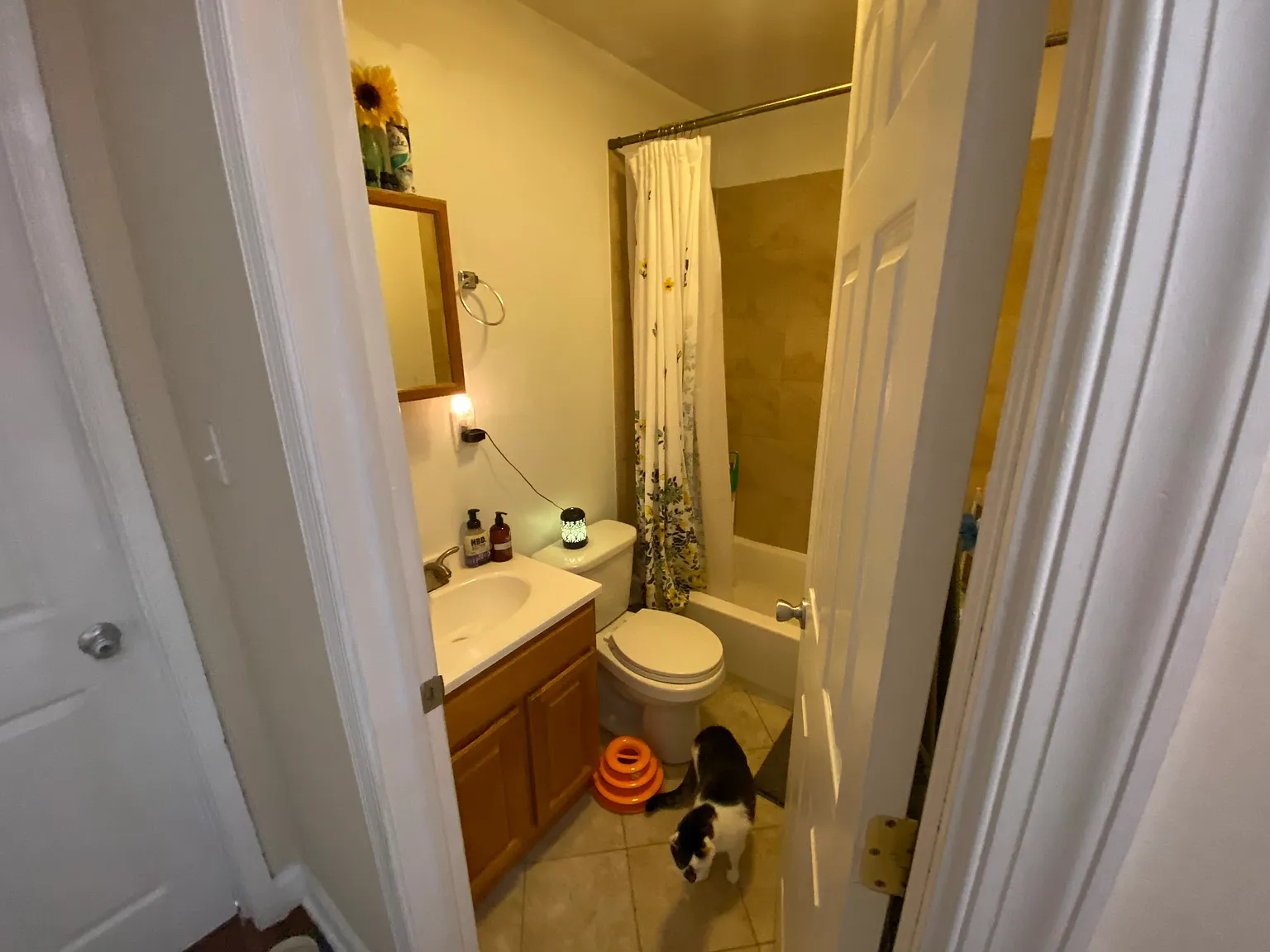 2 bed, $1,200 — Photo 4