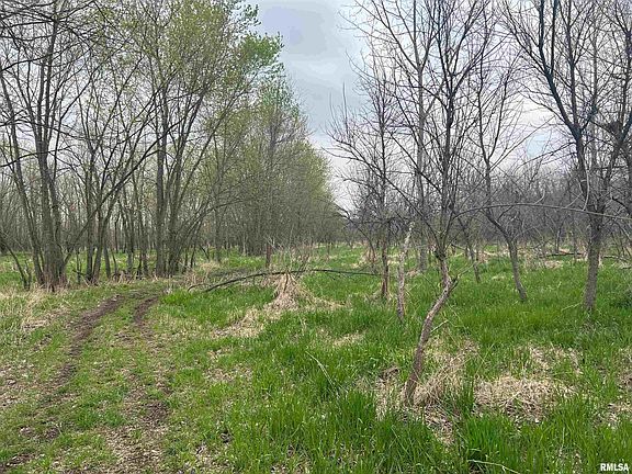 5th image of Flower Creek Rd