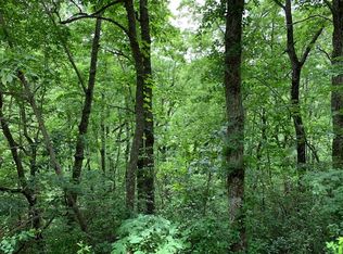 LOT-50A Eagles View Rd, Hayesville, NC 28904