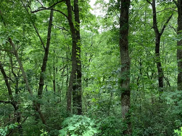 LOT-50A Eagles View Rd, Hayesville, NC 28904