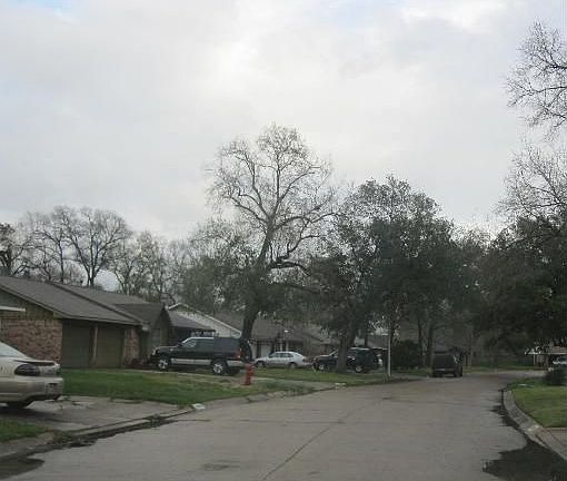 3rd image of 6842 Lyndhurst Dr