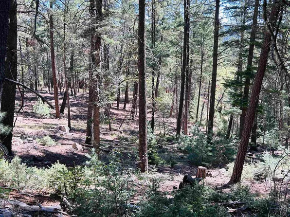 14 Aspen, Mayhill, NM 88339