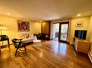910 W Hallam St APT 6, Aspen, CO 81611