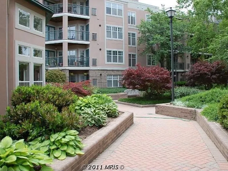 5565 Seminary Rd #208 — Photo 12