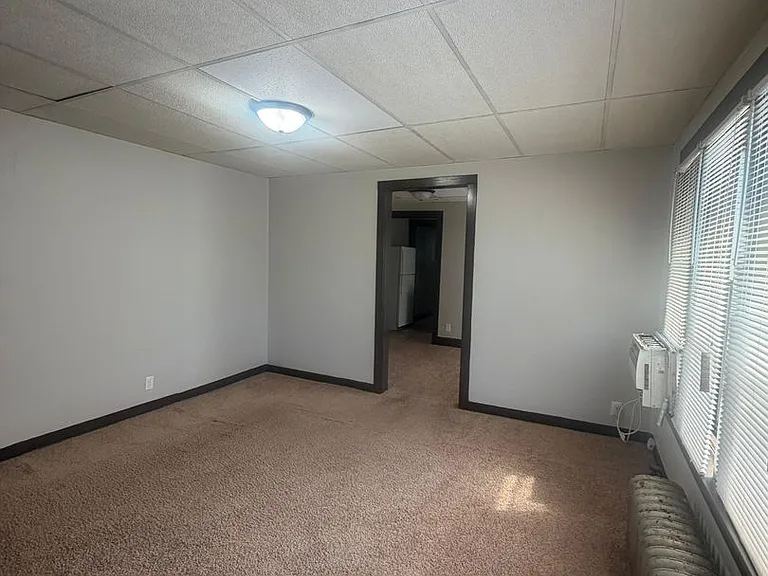 258 Carroll St — Photo 10