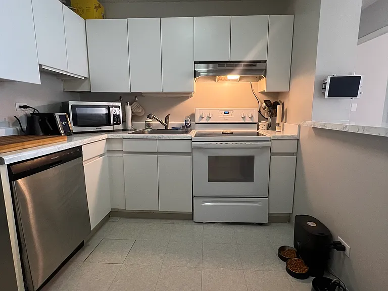 440 N Wabash Ave #3307 — Photo 5