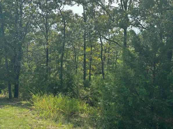 Lot #3 Fox Hollow Road, Branson West, MO 65737