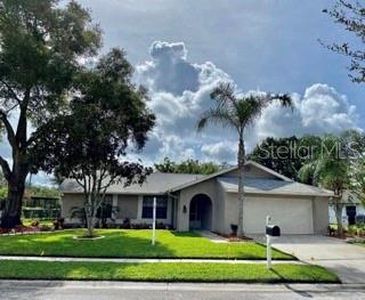 9820 Stephenson Dr, New Port Richey, FL, 34655