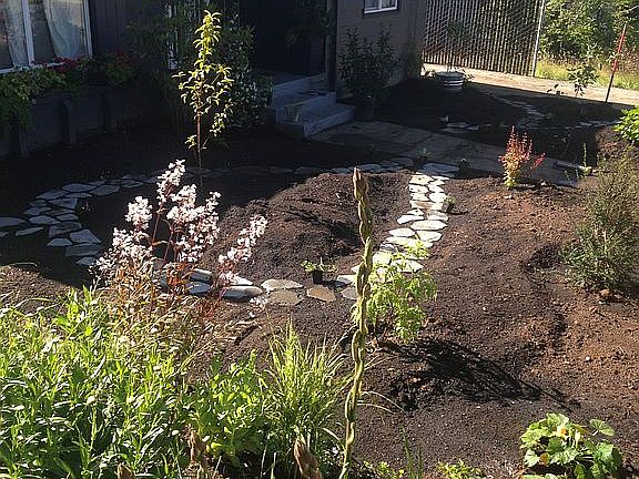 front garden