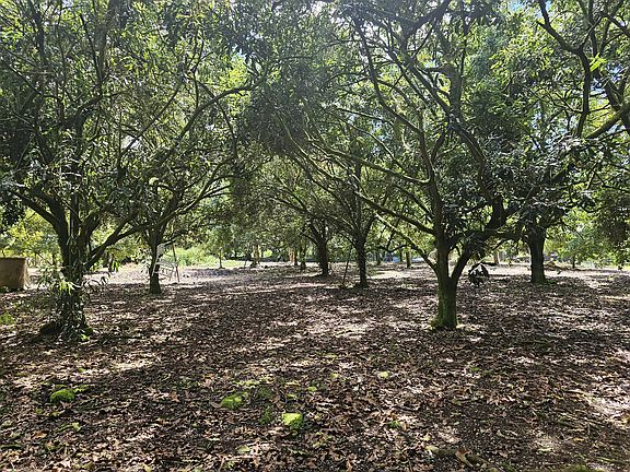 5th image of 21st Ave Lot 347