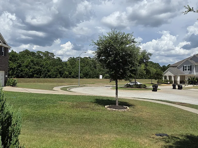 8791 Ute Creek Ln — Photo 3