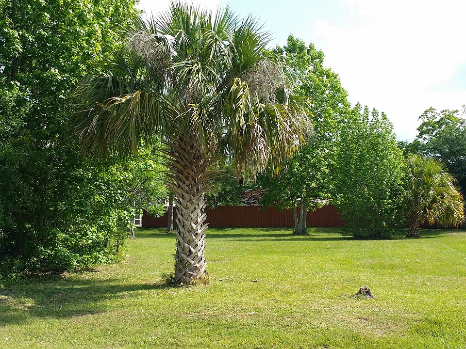 1st image of 48 Buttermill Dr