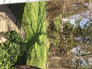 5th image of 851 Bataan Ave