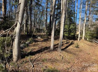 133 Springside Rd, Asheville, NC 28803