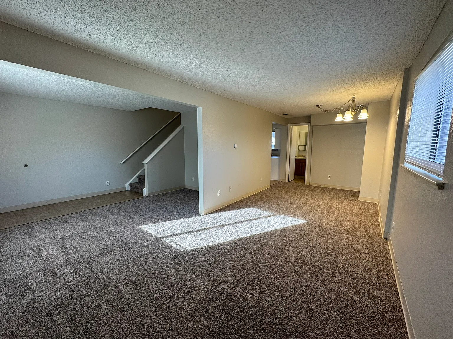 2110 Williams — Photo 4