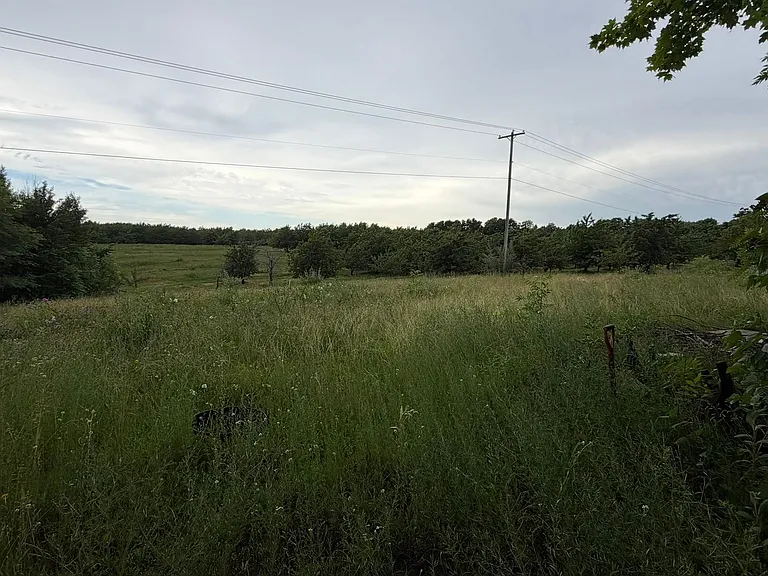 13497 Center Rd — Photo 25