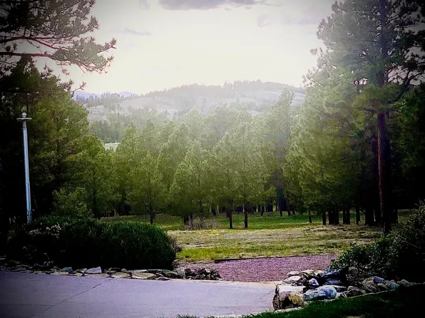 24285 Rushmore Ranch Rd, Keystone, SD 57751