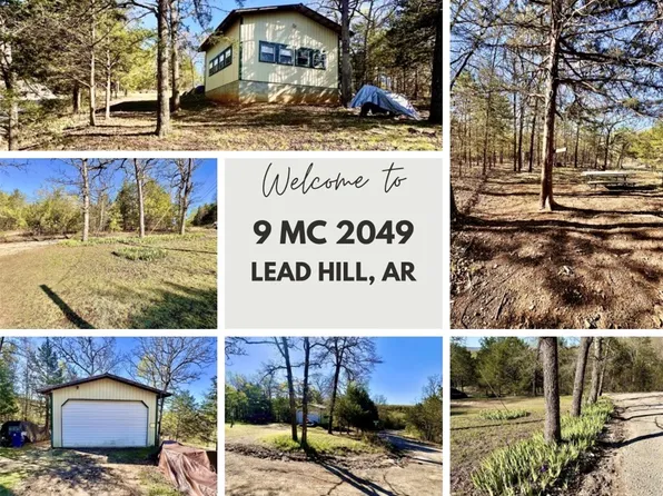 9 Marion Country #2039, Lead Hill, AR 72644