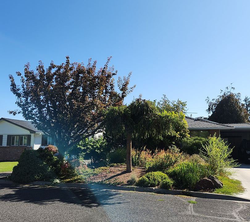 1st image of 907 S 31st Ave