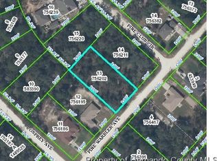 Pine Warbler, Weeki Wachee, FL 34614