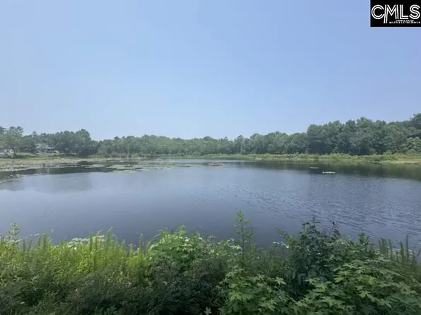 Mossborough Dr, Lexington, SC 29073