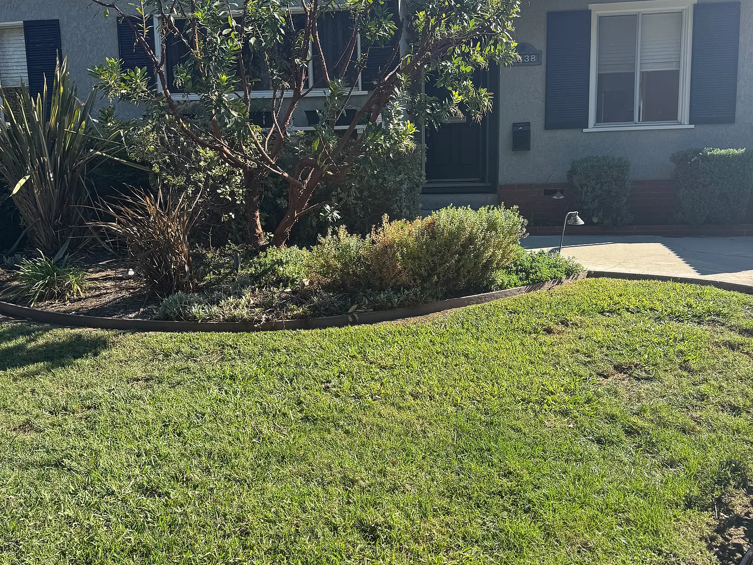 3 bed, 1458 sqft, $4,350 — Photo 2