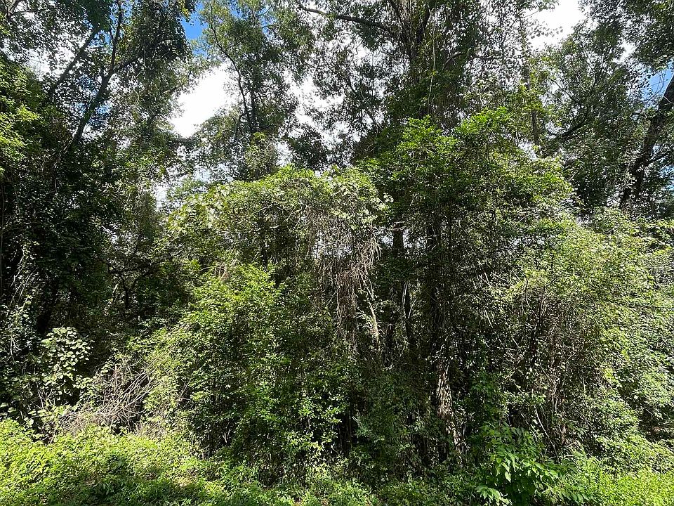 1st image of Sand Pine Dr