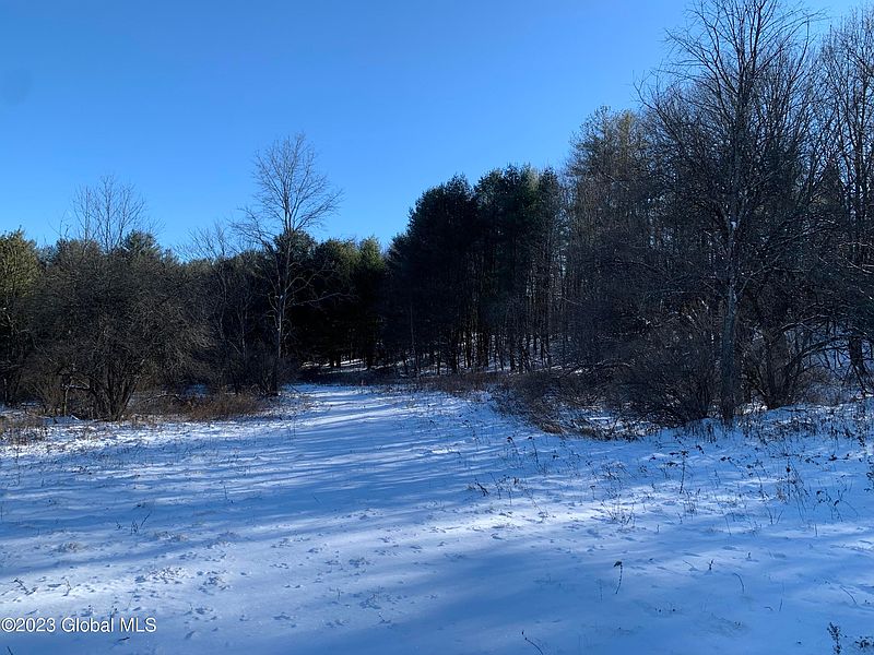 2nd image of Lot 1 Voorhees Road