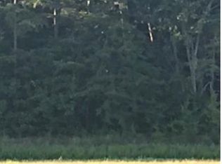 14 Knowles St, Kannapolis, NC 28083