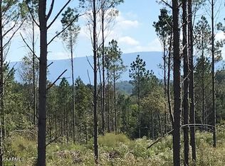 Pinhook Rd, Calhoun, TN 37309