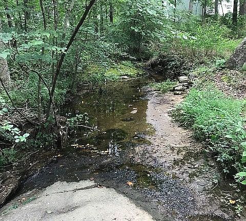 4th image of 167 Creekwood Dr