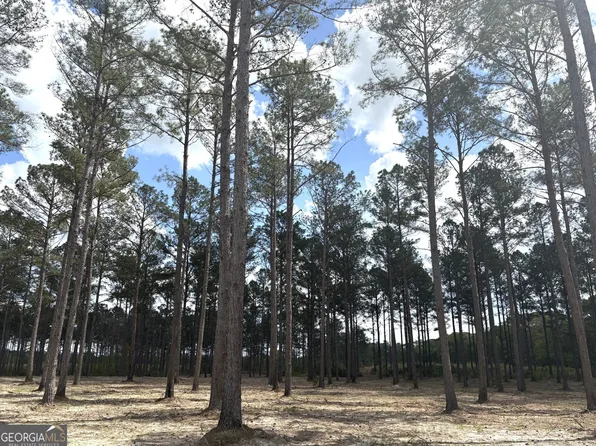 T1 Dc Hardie Rd, Gordon, GA 31031